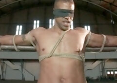 Sex toy, muscular guy, hunk sex