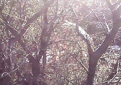 Spouse and ally screw wife in public