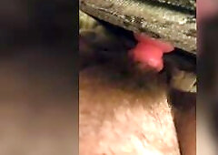 Vibrator banging moist and curly Ftm trans cunt