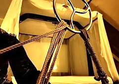 Sado-Ladies - The Shibari Ritual - Brandnew
