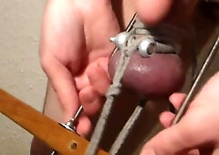 Sack Of Babymakers Spreading Jizm