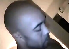 French Arabian Big Meat