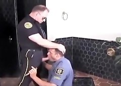 Bathouse Interludes Hot Cops