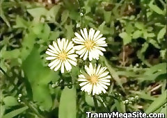 Yummy transsexual babes and their loves anallize each other compilation