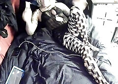 Have Your Way With Me