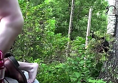 Wolves Breeding In Back Of Car