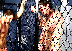 Next Door Originals: A Chainlink Fence Of Masturbators