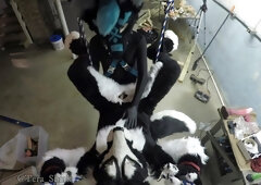 Murrsuiter Gets Pegged Hard By A Dominatrix In A Swing