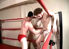 Dragon Shyne Get Acquainted