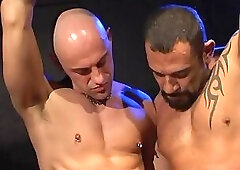 Raw Uncut German Cock