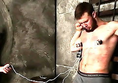 Trainer Yaroslav Part Ii