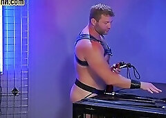 Asslicking studs whipped by inked bear before sucking