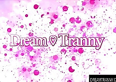 Fantasy Transsexual - Double Anal Compilation Part three