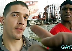 Black and white gay sex