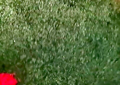 SCREW FROM BEHIND AFTER MACHINE