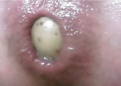 Tdd09-vegetables Part 03