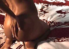 Monika Fox Christmas Adventure