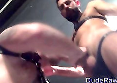 Ass pounding rimming cubs