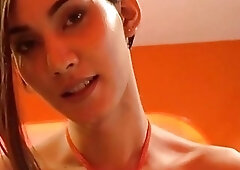 Slender amateur ladyboy girlfriend anal