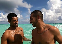 Studs Explore Each Other