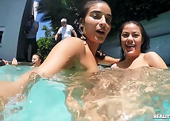 Wlt : New Arrivals 2