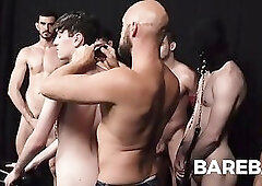 Stallions breed young mare