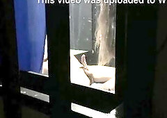 I peep throughout the window in my neighbors abode and find my neighbour cheating on her spouse