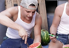 Moonshine Melonballer - Trailer Trash Boys