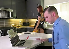 Is it Possible to Stay Focused with a Tranny House Cleaner?