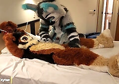 Naughty Husband Plays With Her Little Wife - Dildo Playing And Mursuit - Maho & Xytan