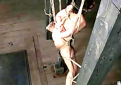 Elise Graves destroyed with a dildo while being bound BDMS