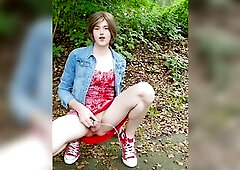 Flashing in public on the street and pissing next to a car wearing my red converse sneakers