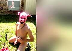 Pig Blown Up By Helium - Belly Inflation