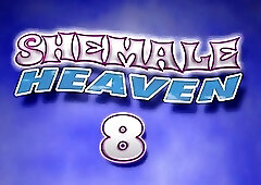 SHEMALE - Shemale Heaven #8