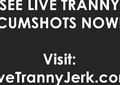 Dashing shemale with a big ass bent over and hammered