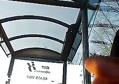 Bus Stop Dickflash