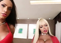 Elisa Sanches, queen of anal, fucks two trans women. COMPELTP XVIDEOS RED SHEER