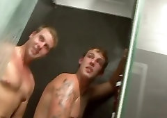 Curious Yet Reluctant