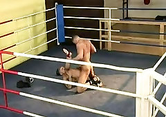 Beefy Boxers Fucking On The Ring