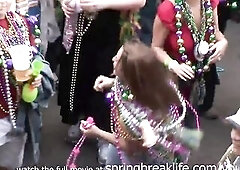 mardi gras flashers public real amateur coeds and matures