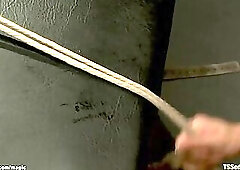 Busty mature TS fucking bound man