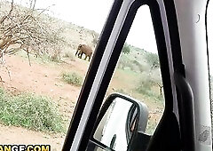 Hawt Natural Black Babe Gets Screwed Coarse In The Backseat After Begging For White Knob