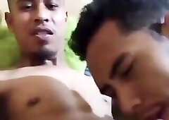 Gay lokal indonesia (short)