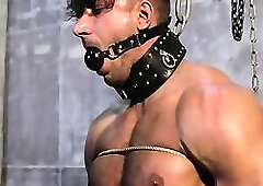 Hot Stud in BDSM session
