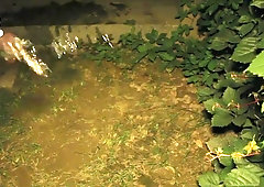 Chinese slave/service