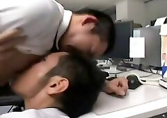 Naughty cubs have a lot of fun