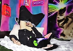 Alleycat fondles off