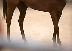 Painful Love - Zario Travezz & Lance Charger