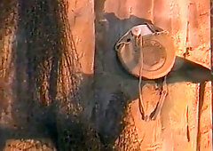 Paul Morgan, Chaz Carlton And Richard Reyes In Caught In The Military 2