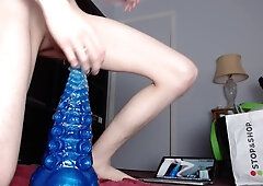 Captured by a Tentacle